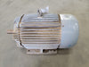 TECO 20 hp, 230/460 volts, 1765 rpm, 256T Electric Motor EP02004TE2