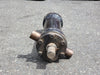 Hydraulic Cylinder