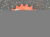 Roller Chain Sprocket H120Q17, Size 120, 17 Teeth