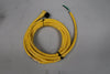 ALLEN-BRADLEY 12 ft., 16 AWG Mini Cable Cordset 889N-R3AFC-12F