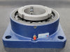 BLUE BRUTE Flange-Mount Roller Bearing Unit 3-7/16" Bore, DVF20K307SM