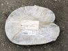 GATES 55.8" OC 0.66" WD 0.41" THK 2-Strand V-Belt 2B54