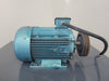 15 hp, 600 volts Electric Motor