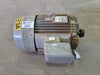 TATUNG 30 hp, 230/460 volts, 3535 rpm, 286T Electric Motor WJ0302FFA