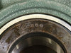 Mounted Bearing Unit FU208 
