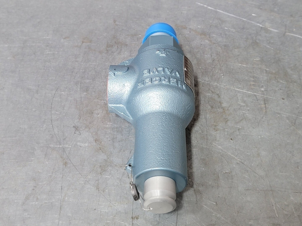MERCER 1" Safety Relief Valve 91-17E51T07L1