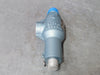 MERCER 1" Safety Relief Valve 91-17E51T07L1