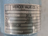 MERCER 1" Safety Relief Valve 91-17E51T07L1