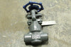 NEWCO 1/2", Class 800, Globe Valve, B16.34