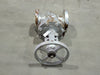 CRANE 3", Class 300, Gate Valve, B16.34