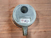WINTER WALKING Pressure Gauge PFP Series 60 psi 