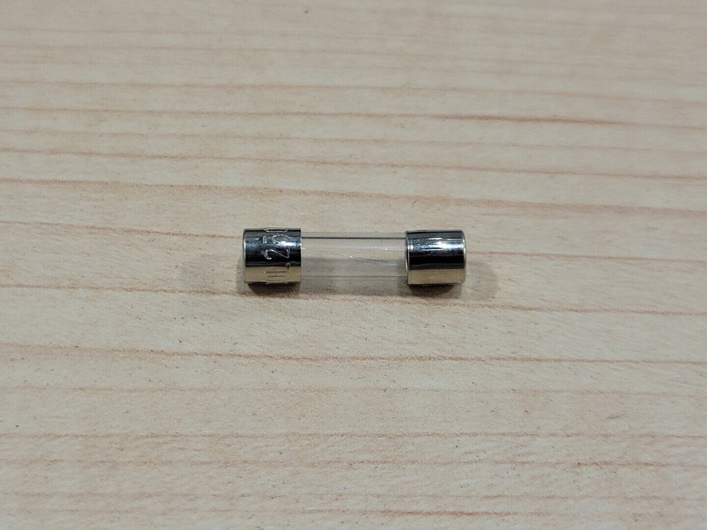 Glass Fuse F100L250V