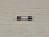 Glass Fuse F100L250V