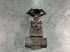 DSI VALVES 1", Class 800, Globe Valve, B16.34 
