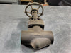NEWCO 2", Class 800, Globe Valve, B16.34