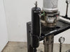 GRACO President 218747 Paint Pump Station, 10 GPM, 3-1 Ratio