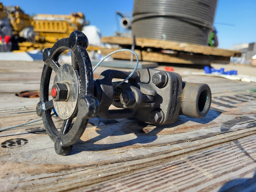 CHAODA VALVES GROUP 3/4" Class 800 Globe Valve API 602