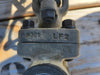 DHV 3/4" Class 800 Gate Valve