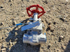 LADISH VALVE 3/4" Class 800 Gate Valve B16.34