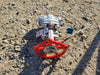 LADISH VALVE 3/4" Class 800 Gate Valve B16.34