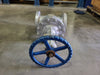 DSI 6" Class 300 Gate Valve B16.34