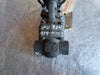 WILLIAMS VALVE CORP. 1/2" Class 800 Gate Valve B16.34