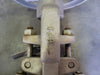 DHV 2" Class 300 Globe Valve B16.34