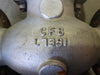 DHV 2" Class 300 Globe Valve B16.34