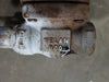 VELAN 3/4" Class 800 Gate Valve B16.34