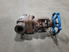 VELAN 3/4" Class 800 Gate Valve B16.34