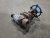 VELAN 3/4" Class 800 Gate Valve B16.34