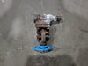 VELAN 3/4" Class 800 Gate Valve B16.34