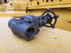 CHAODA VALVES GROUP 3/4" Class 800 Globe Valve API 602