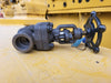 CHAODA VALVES GROUP 3/4" Class 800 Globe Valve API 602