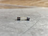 BUSSMANN 0.25 Amp Fast-Acting Glass Fuse GMA-250MA