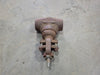 OMB 1" Class 800 Gate Valve (w/o Handle)