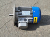 MOTORI ELETTRICI 1.5 hp, 60/104 volts, 2830 rpm Electric Motor 80B/2
