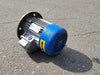 MOTORI ELETTRICI 1.5 hp, 60/104 volts, 2830 rpm Electric Motor 80B/2