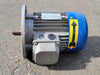 MOTORI ELETTRICI 1.5 hp, 230/460 volts, 2830 rpm Electric Motor 80B/2