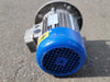 MOTORI ELETTRICI 1.5 hp, 230/460 volts, 2830 rpm Electric Motor 80B/2