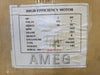 AMEG 3 hp, 575 volts, 3520 rpm, 182T Electric Motor
