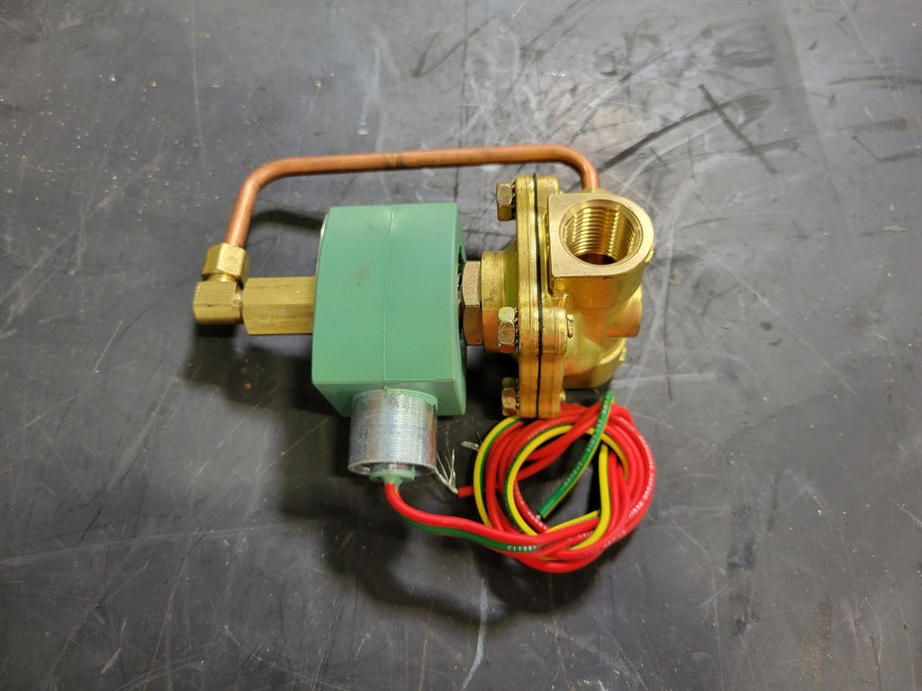 ASCOLECTRIC LIMITED 1/2" NPT Solenoid Valve Normally Open 5-250 PSI 8210G12