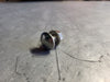 PAULIN 3/8"-16" x 3/4" 316 SS Carriage Bolt w/ Flange Nut HDW4KITSS