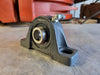 PEER Pillow Block Bearing 19" Bore, UCP204-12 
