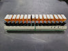 ALLEN-BRADLEY Relay Interface Module 1492-XIM20120-16RF w/ Slim Line Relay