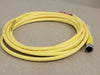 BRAD HARRISON 6-Pole Female Straight PVC Cord 12FT 22AWG/6C 300V, 706000D02F1201