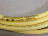 BRAD HARRISON 6-Pole Female Straight PVC Cord 12FT 22AWG/6C 300V, 706000D02F1201
