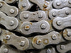Riveted Roller Chain No. RS60, 1 Strand, 20ft