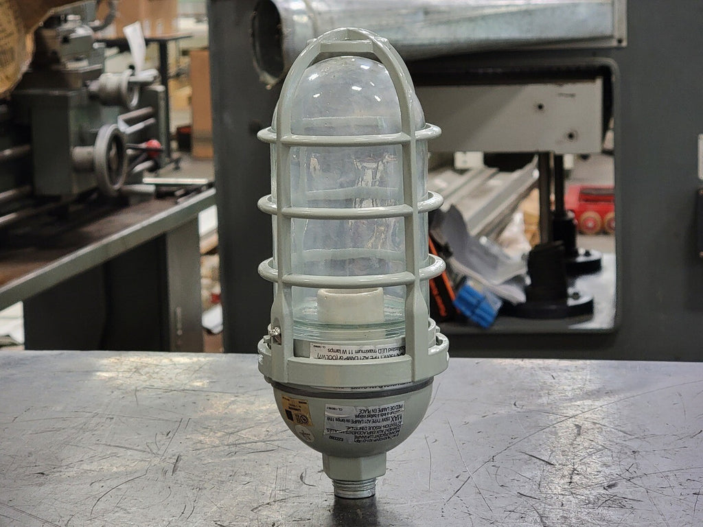 RAB LIGHTING Vapor Proof 200 Series Pendant 1/2" w/ GL Globe Cast Guard VP200DG