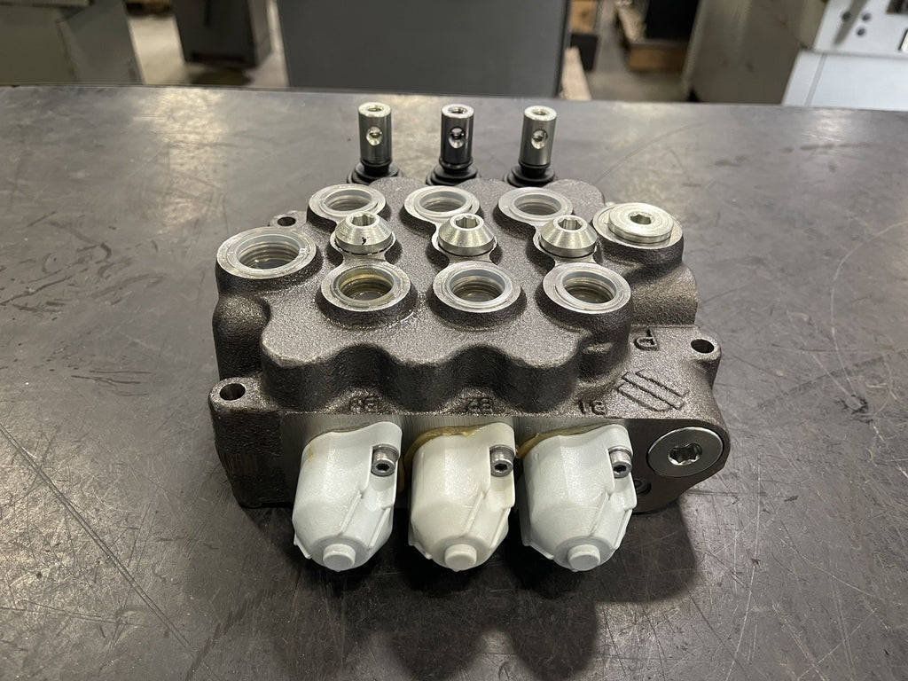 SALAMI Monoblock Hydraulic Valve VDM8/DDD/U4S 